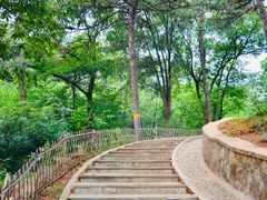 -北京西山国家森林公园