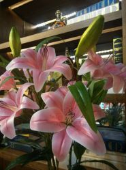 -谦亨·Hair·Salon