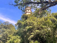 -江心屿景区