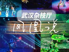 -武汉杂技厅