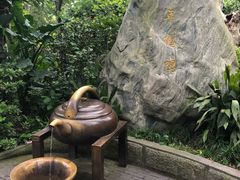 -易老妈蹄花.特色川菜(人民公园总店)