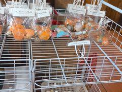 -蓝湾碧波·老字号·疍家非遗海上餐厅