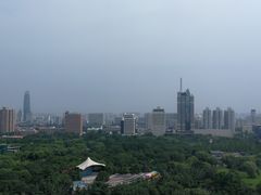 -山东大厦