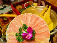 -禄婶鸡煲·打边炉