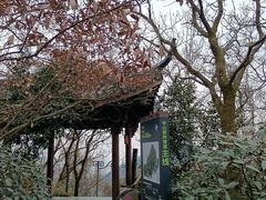 -杭州半山国家森林公园