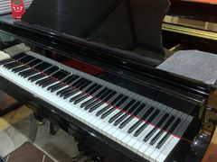 -七弦之上钢琴培训学校