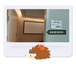 -纯粹医美