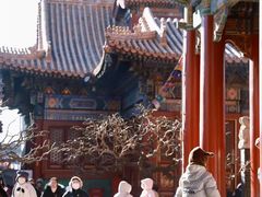 -北京国子监胡同
