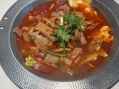 -古乐牛香•鲜牛肉牛杂火锅(系马桩总店)