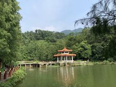 -深圳仙湖植物园