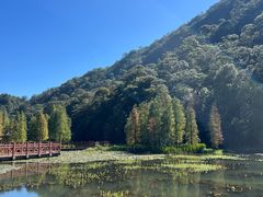 -广州市石门国家森林公园