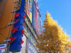 -秋叶原电器街
