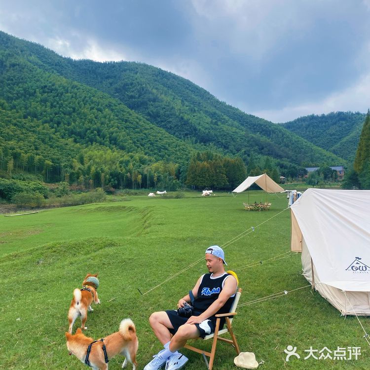 湖州安吉小杭坑营地｜可以带着狗狗🐶去的露营⛺地️