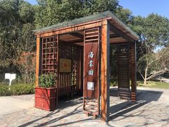 -昆山城市生态森林公园