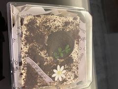 -梁子刨冰王&梁小糖(王顶堤店)