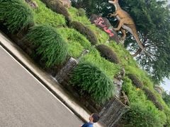-自贡恐龙博物馆
