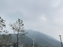 -中国宣纸文化园