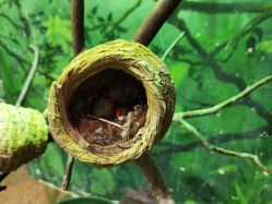 -Zoolung Zoolung动物主题公园(海信广场店)