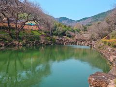 -冶父山国家森林公园
