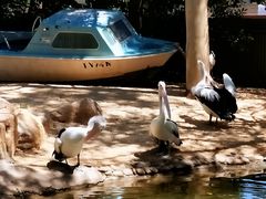 -费瑟代尔野生动物园