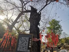 -水峪民俗村