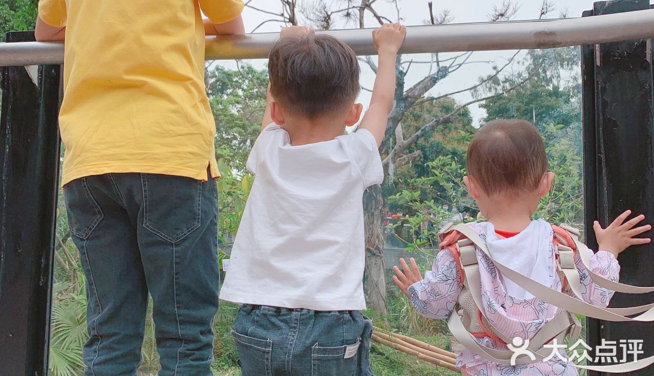 遛娃｜广州动物园20元的快乐