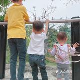 遛娃｜广州动物园20元的快乐