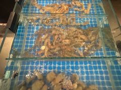 -闽海肴(北辰荟店)