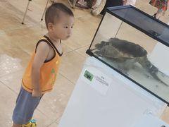 -万达广场(武汉菱角湖店)