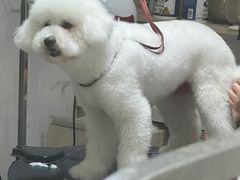 -宠颐生动物医院·小陆分院