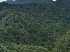 -中国茶叶博物馆(双峰馆区)