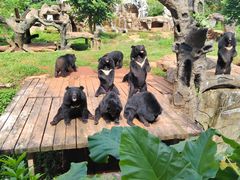 -海南热带野生动植物园