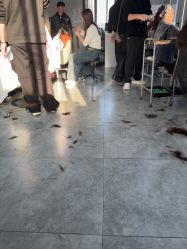 -VV盛妆Hair烫染造型沙龙