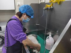 -北京观赏动物医院·24小时大型综合·猫专科·异宠专科