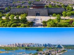 -高东镇樱花园