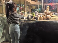 -天河城购物中心