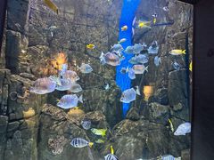 -成都浩海立方海洋公园