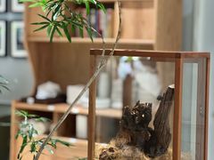 -一尺花园(安和花园店)