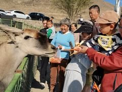 -新疆天山野生动物园