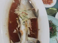 -九头鸟酒家(东高地店)