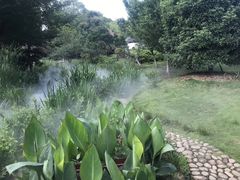 -武汉紫薇都市田园