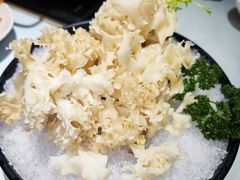 -打酱友•斑鱼海鲜粥火锅(吴桥店)