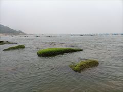 -老虎石海上公园