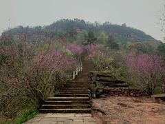 -天台山赤城山景区