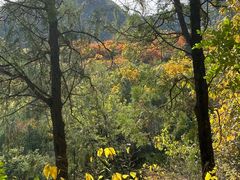 -阳台山自然风景区