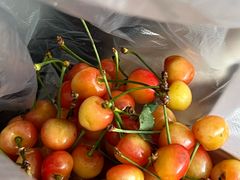 -宋记便宜坊(二七店)