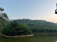 -滴水岩森林公园