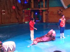 -烟台海昌鲸鲨海洋公园