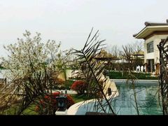 泡池-苏州湾王焰温泉度假酒店