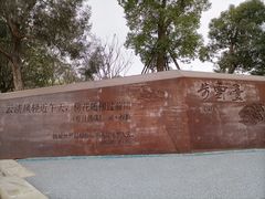 -飞凤山奥体公园